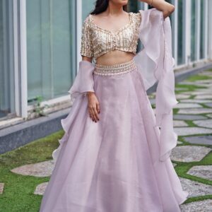 Embellished Ready to Wear Lehenga & Blouse With Dupatta