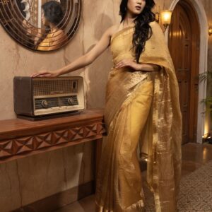 Zari Tissue Banarasi Saree